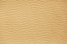 Sand2